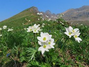 Laghi di Ponteranica dai Piani dell’Avaro-9giu25